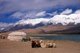 China: Bactrian camels at Lake Karakul on the Karakoram Highway, Xinjiang